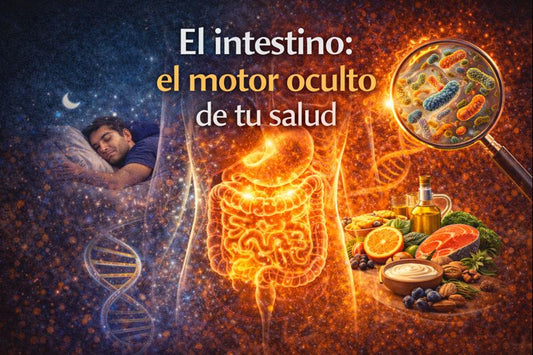 El intestino: el motor oculto de tu salud