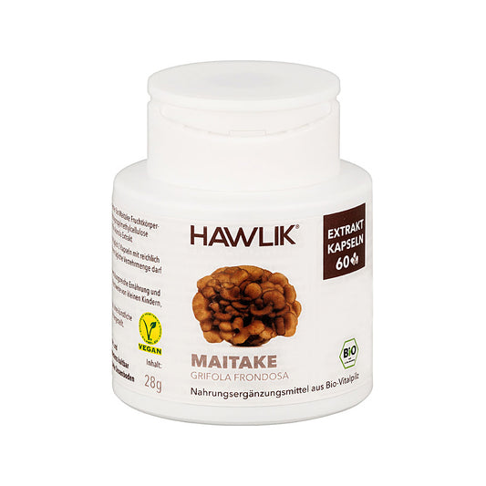 Maitake Hawlik Hongo 